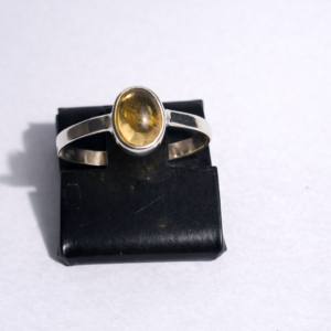 Anel Prata Pedra Simples — Galeria
